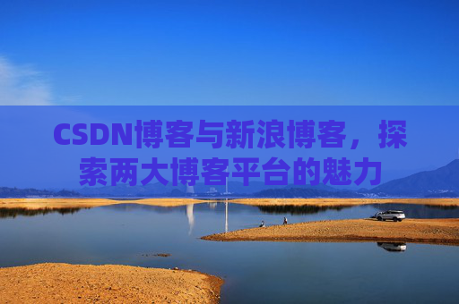 CSDN博客与新浪博客，探索两大博客平台的魅力